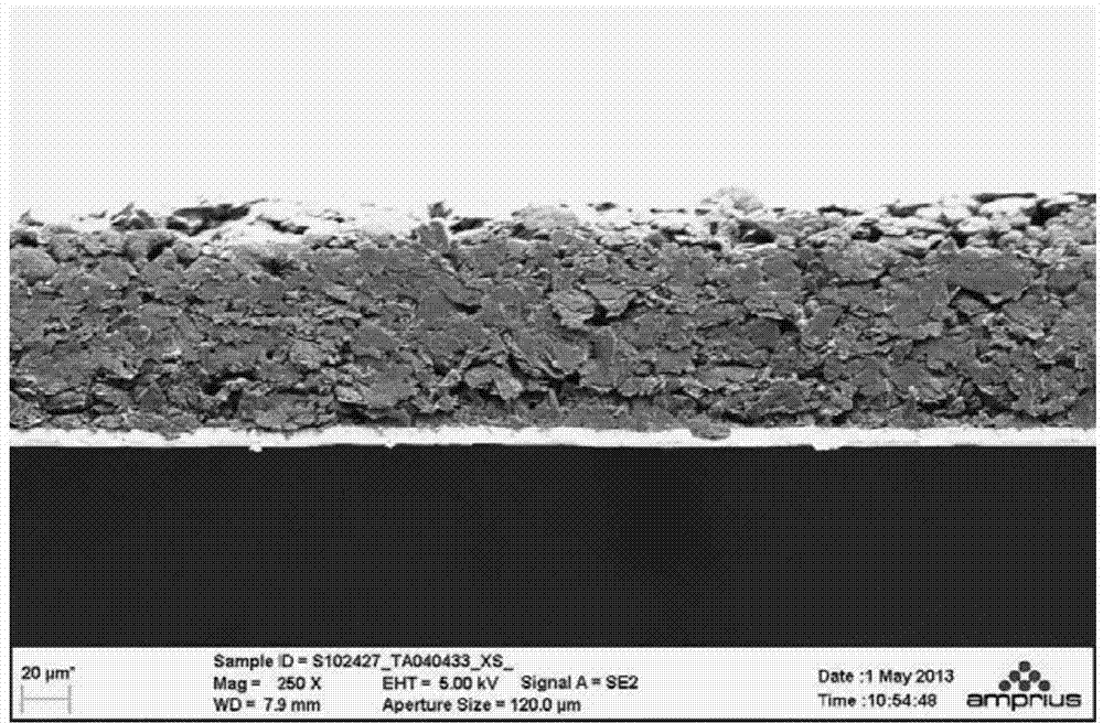 Silicon-containing negative electrode of lithium ion battery and preparation method of silicon-containing negative electrode