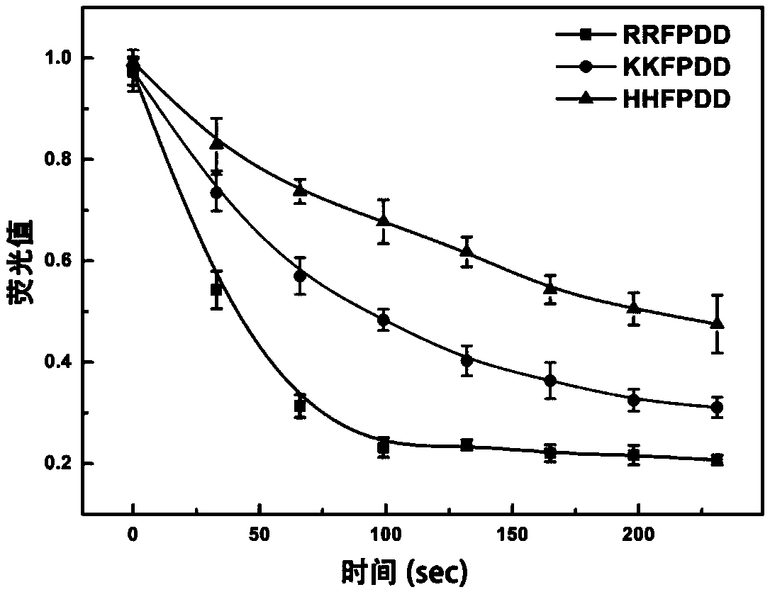 Anchoring polypeptide taking basic amino acid as anchoring end and application of anchoring polypeptide