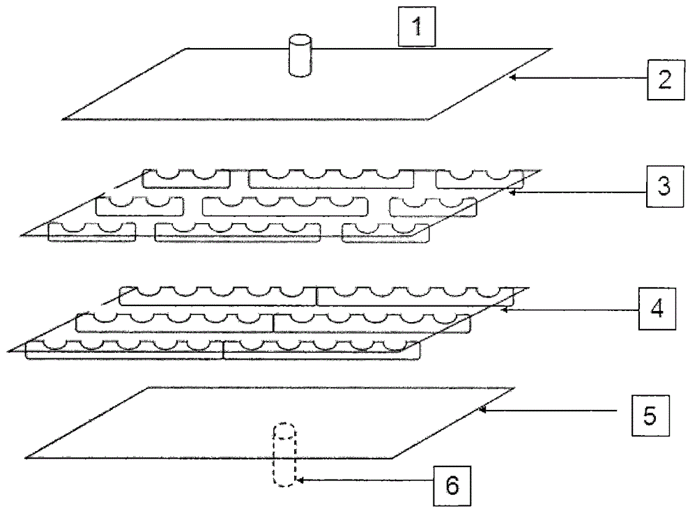 Detection chip determining cell alpha-naphthyl batyrate esterase and reagent thereof