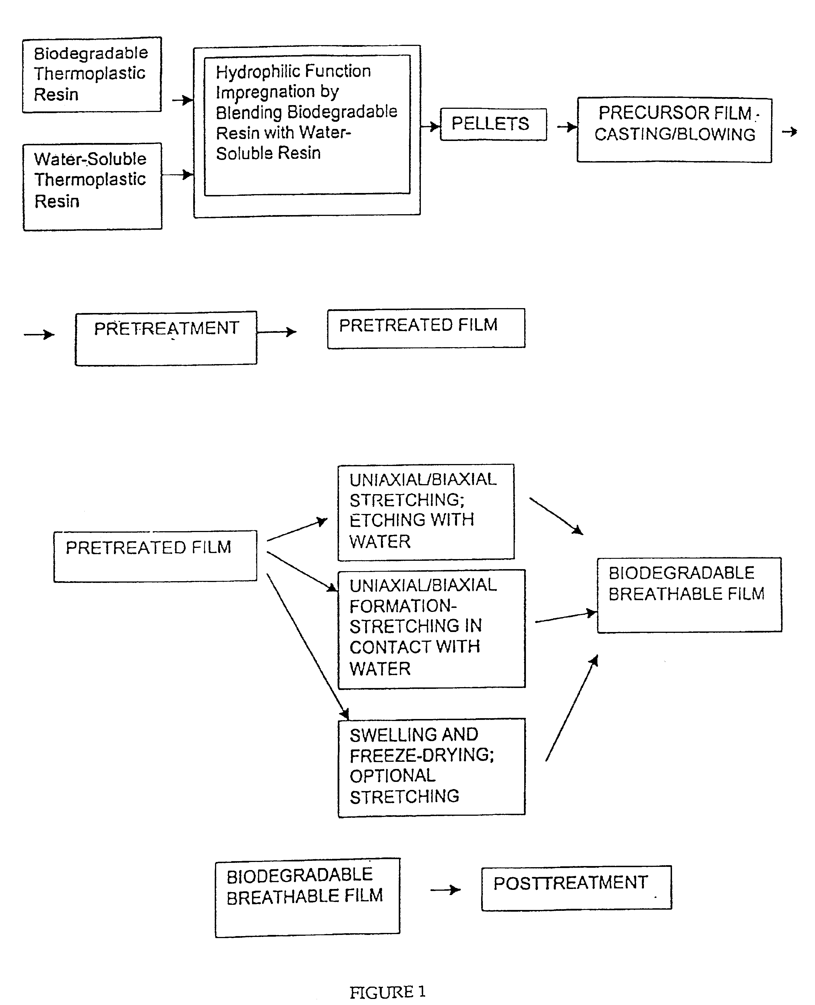 Biodegradable films having enhanced ductility and breathability