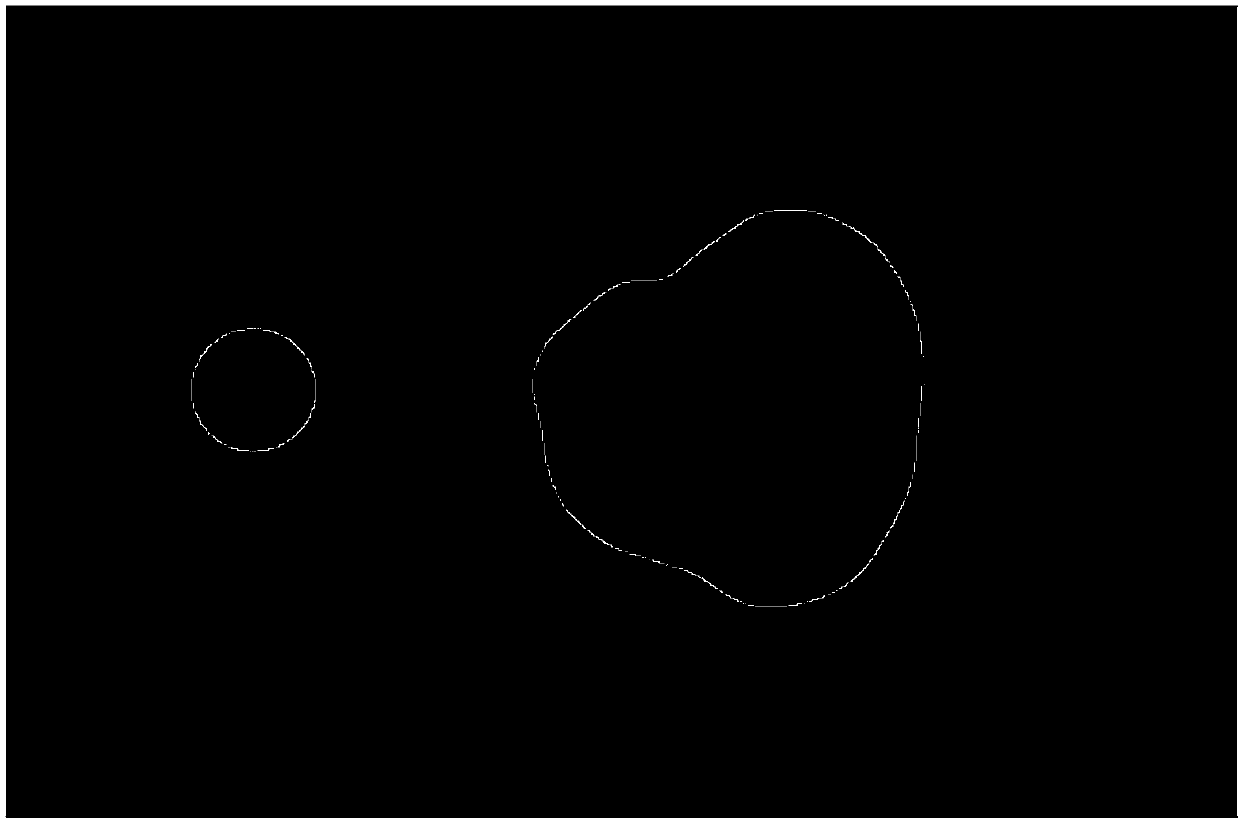 Hericium erinaceus nondestructive test grading method based on machine vision