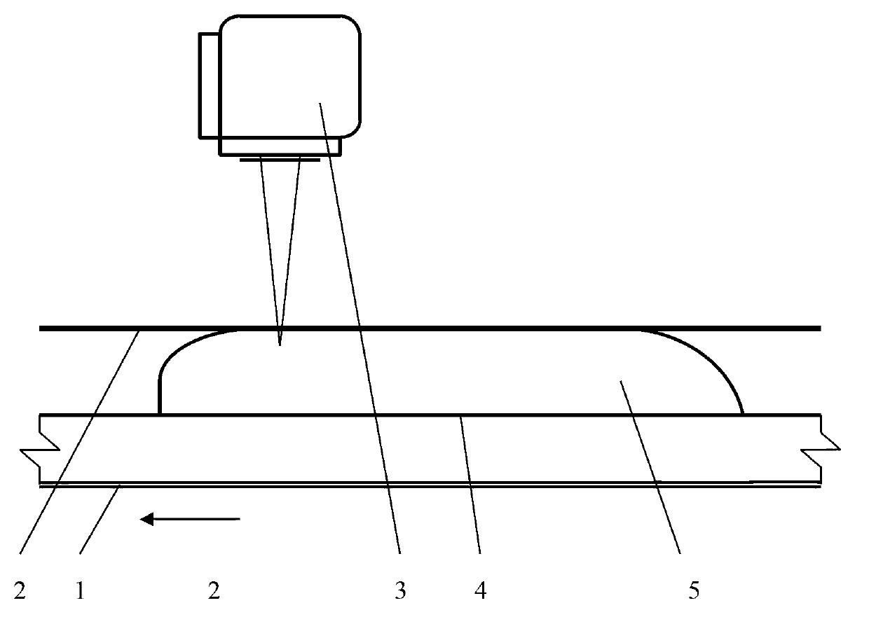 Method and device of agricultural and sideline product laser marking and products with laser marks