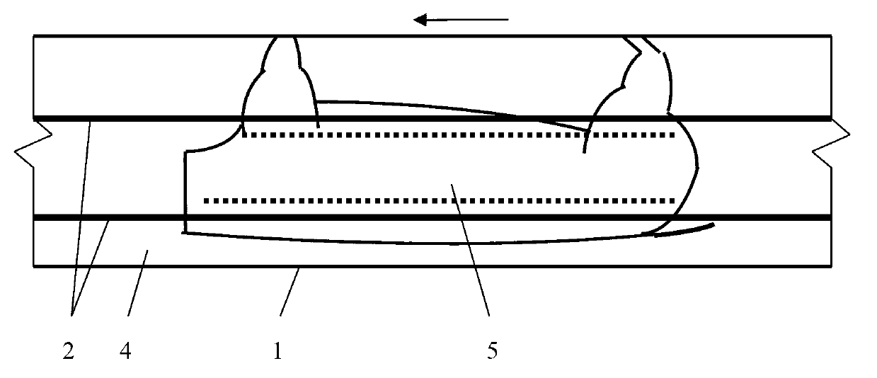 Method and device of agricultural and sideline product laser marking and products with laser marks