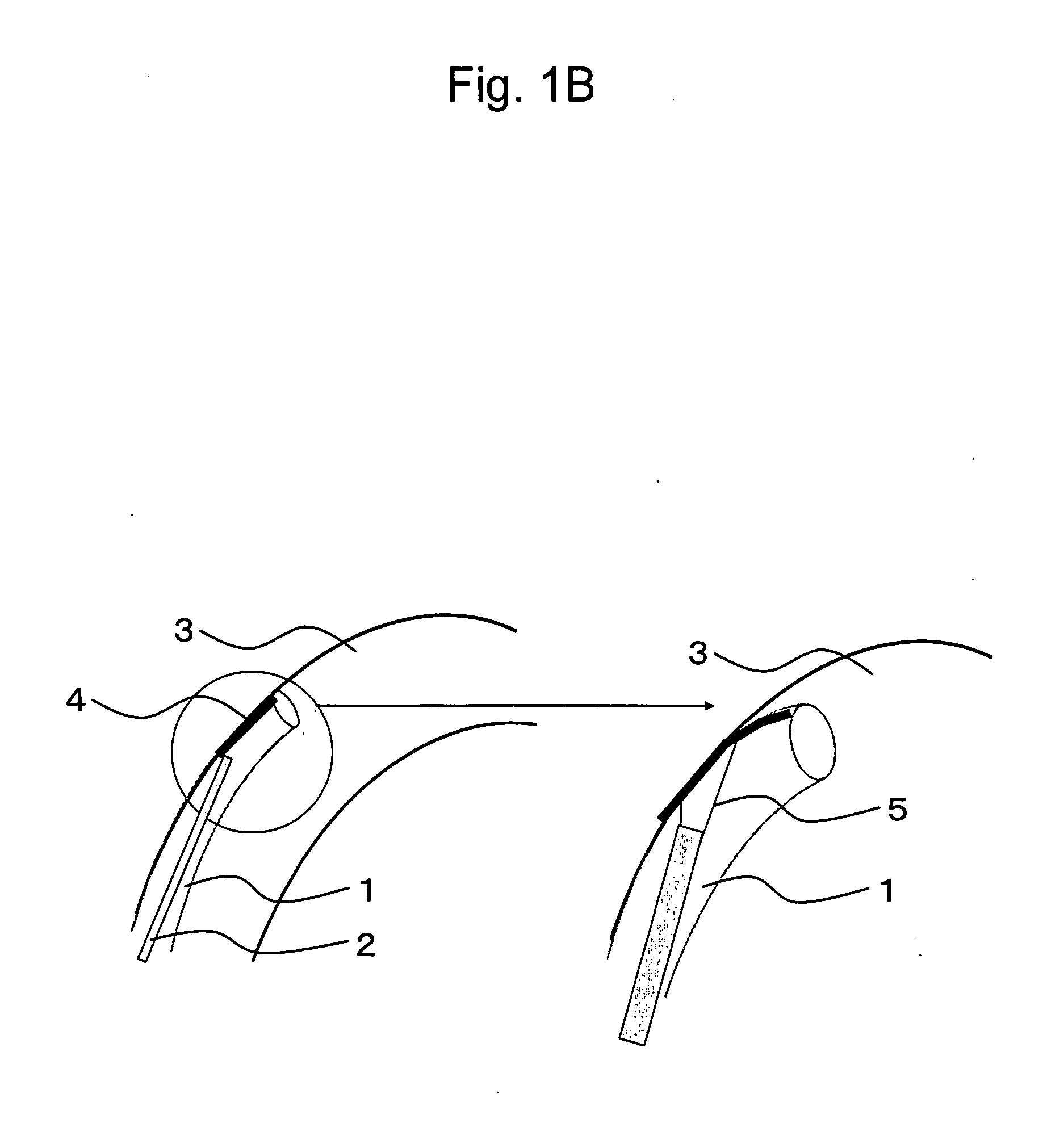 Thin tube which can be hyperflexed by light