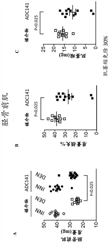 Pharmaceutical compounds and their use as inhibitors of ubiquitin specific protease 19 (USP19)