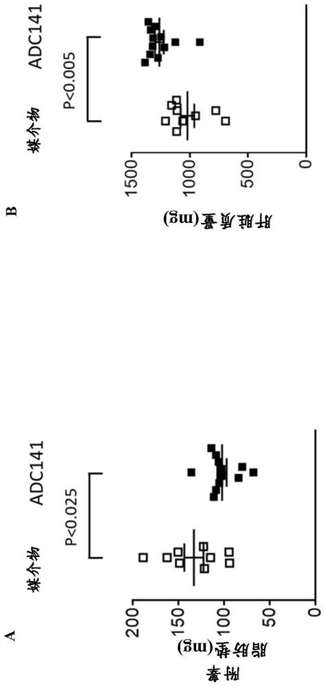 Pharmaceutical compounds and their use as inhibitors of ubiquitin specific protease 19 (USP19)