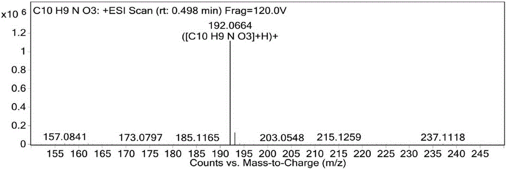 Type of isoquinoline as well as preparation method and application thereof