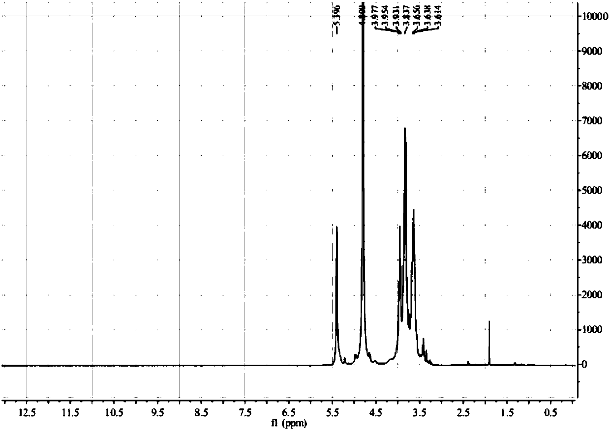 Homogenous polysaccharide with immunoregulatory activity and preparation method thereof