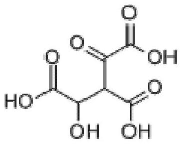 Application of oxalomalic acid in preparation of medicine for treating nerve cell injury