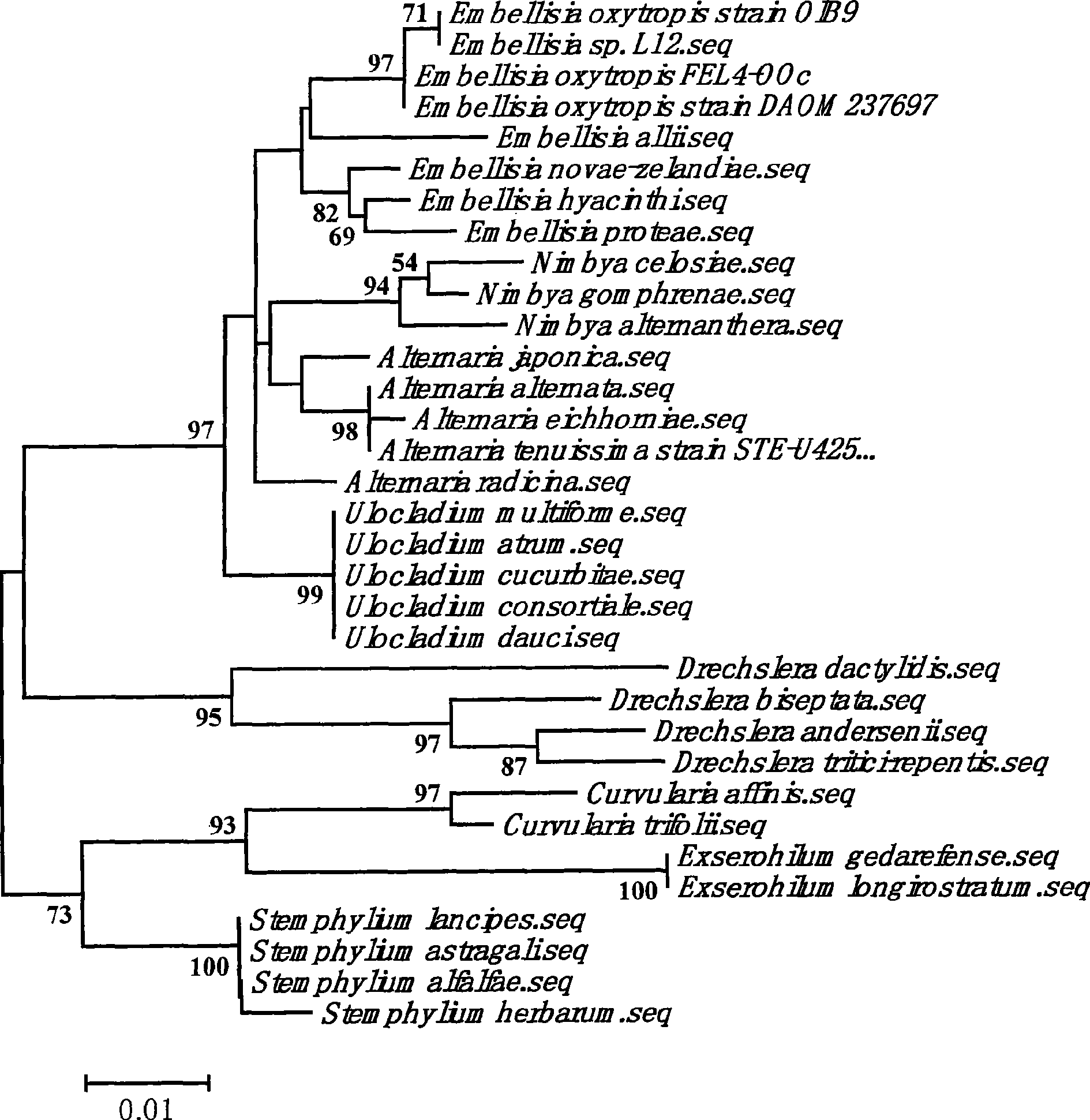 Oxytropis ehrig cinerea FEL4-OOc and separation method and application thereof