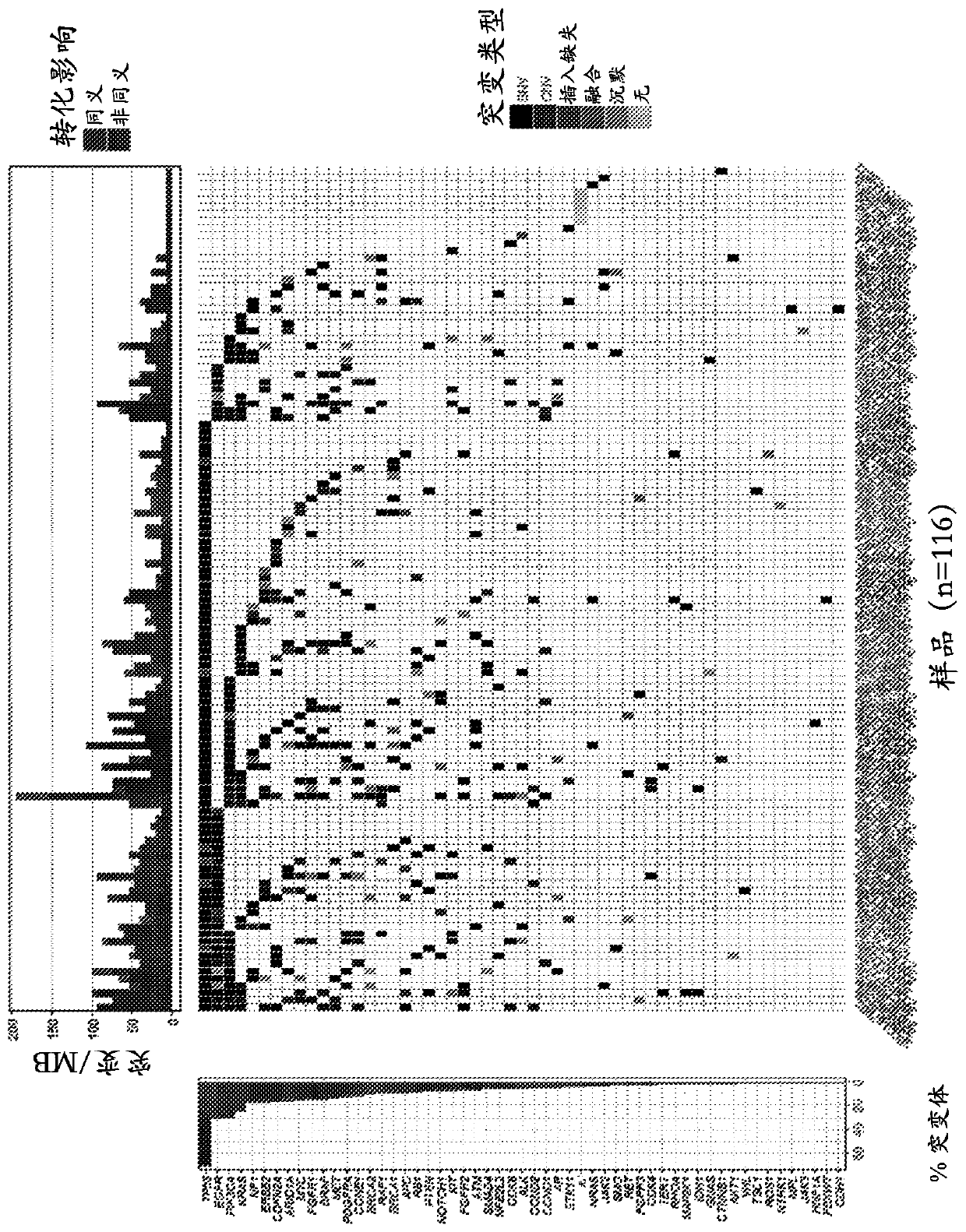 Tumor burden as measured by cell free DNA