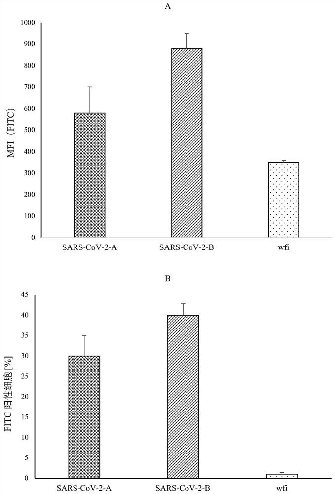 MRNA and novel coronavirus mRNA vaccine containing same