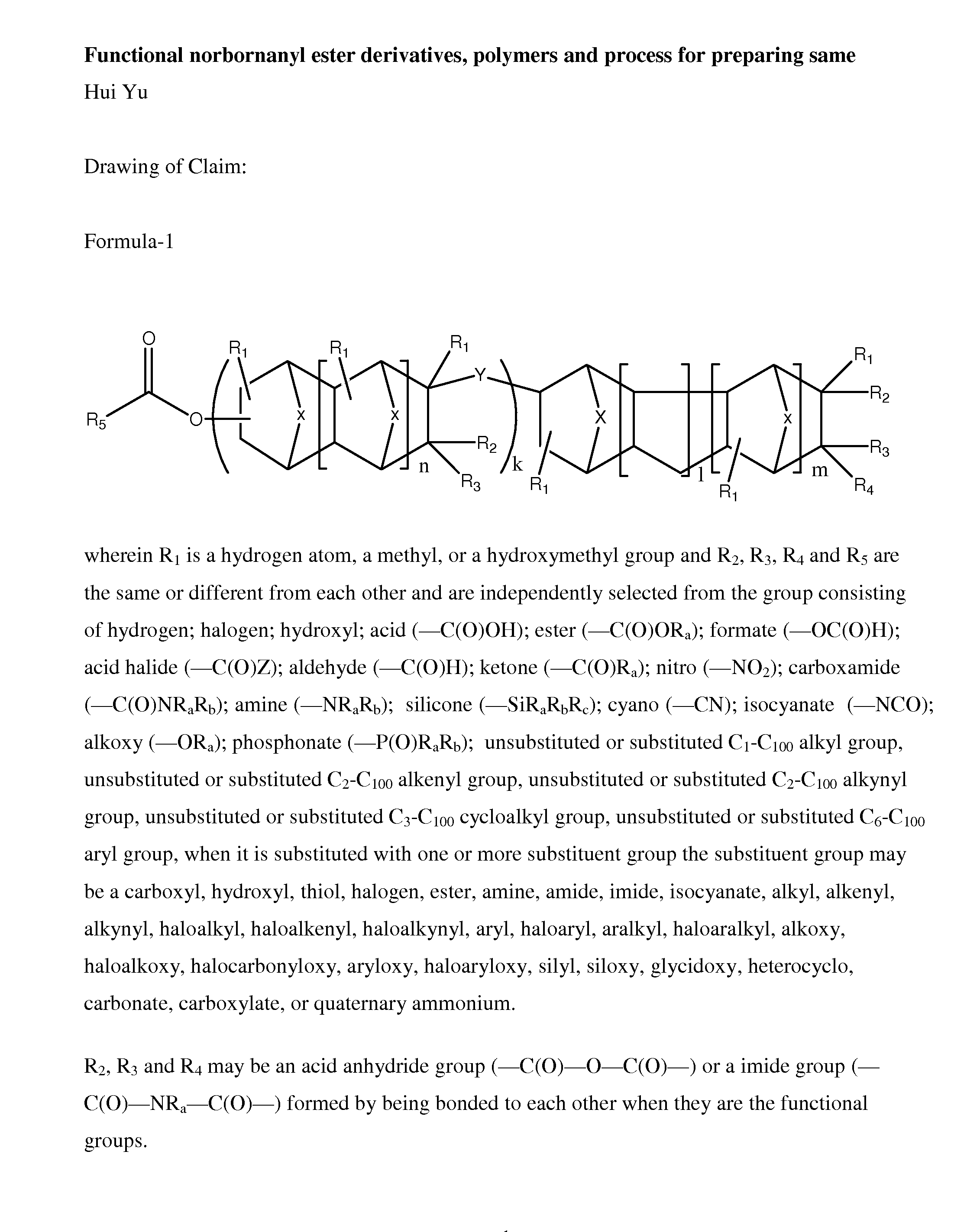 Functional norbornanyl ester derivatives, polymers and process for preparing same