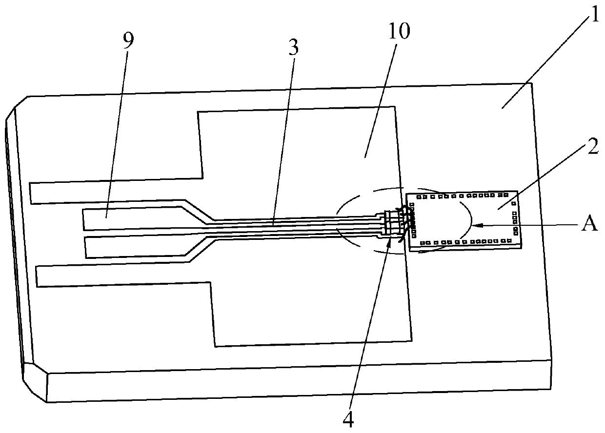 Optical module and communication equipment