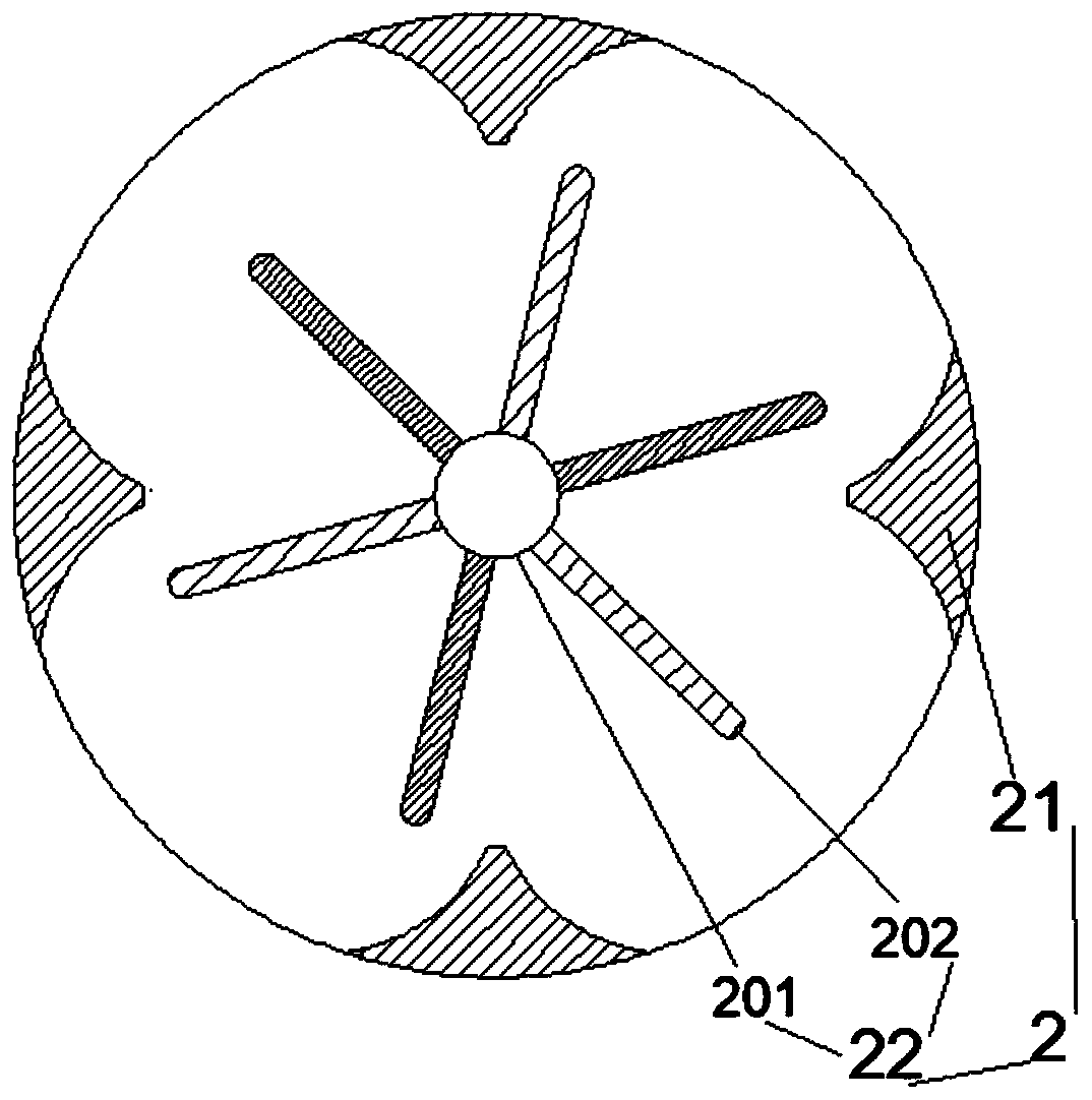 Preparation method of fruit and vegetable composite probiotic powder