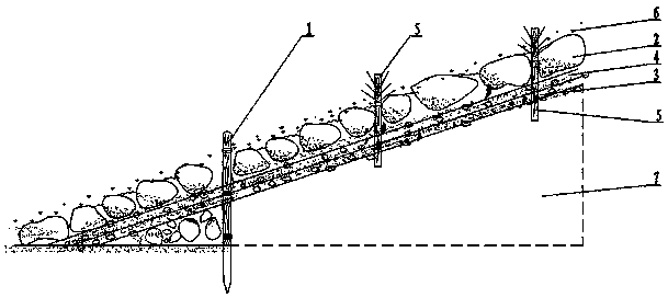 Ecological slope protection structure and construction method thereof