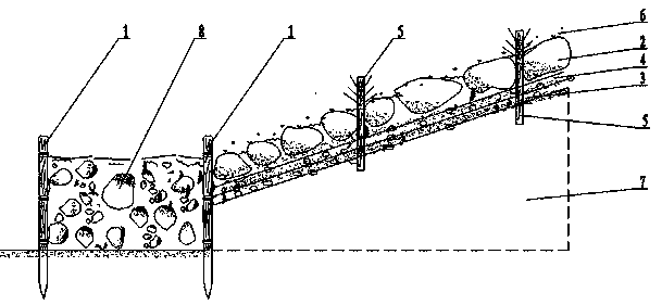 Ecological slope protection structure and construction method thereof