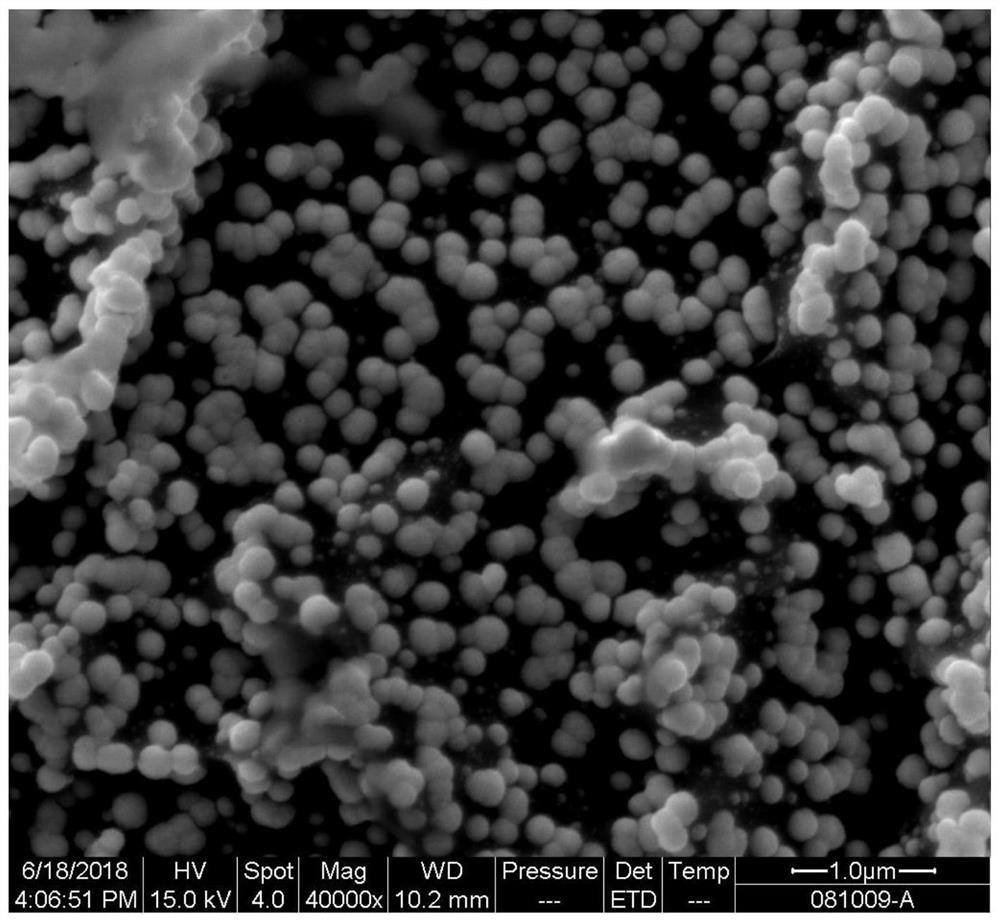 A kind of preparation method of nano platinum titanium electrode