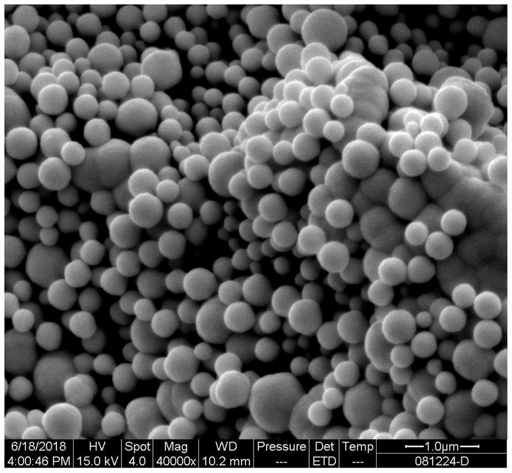 A kind of preparation method of nano platinum titanium electrode