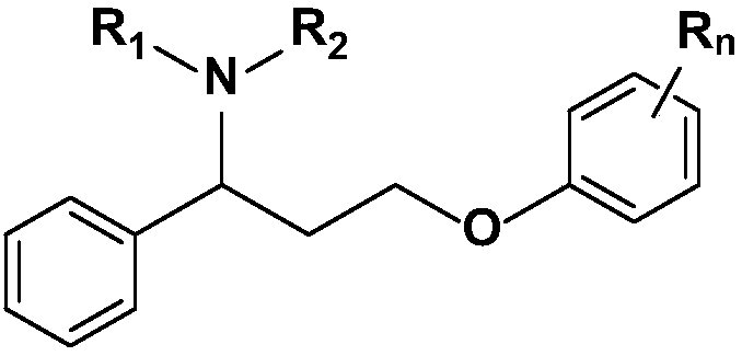 Novel 5-hydroxytryptamine and norepinephrine dual reuptake inhibitor and medical application thereof