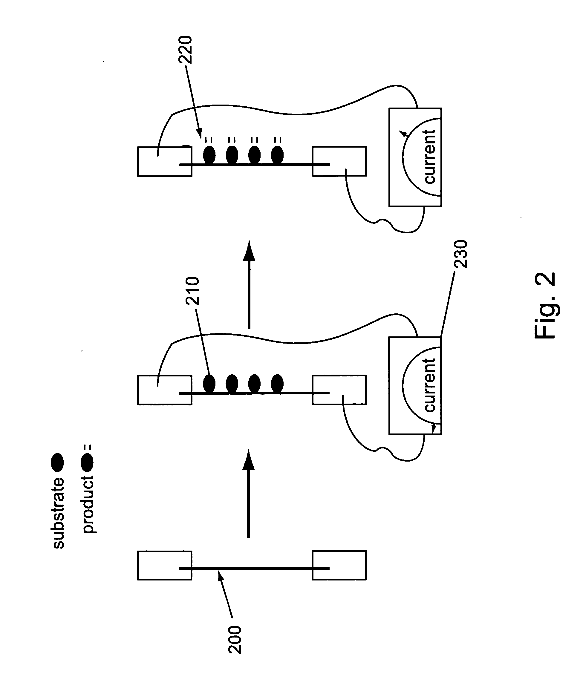 Nano-chem-fet based biosensors