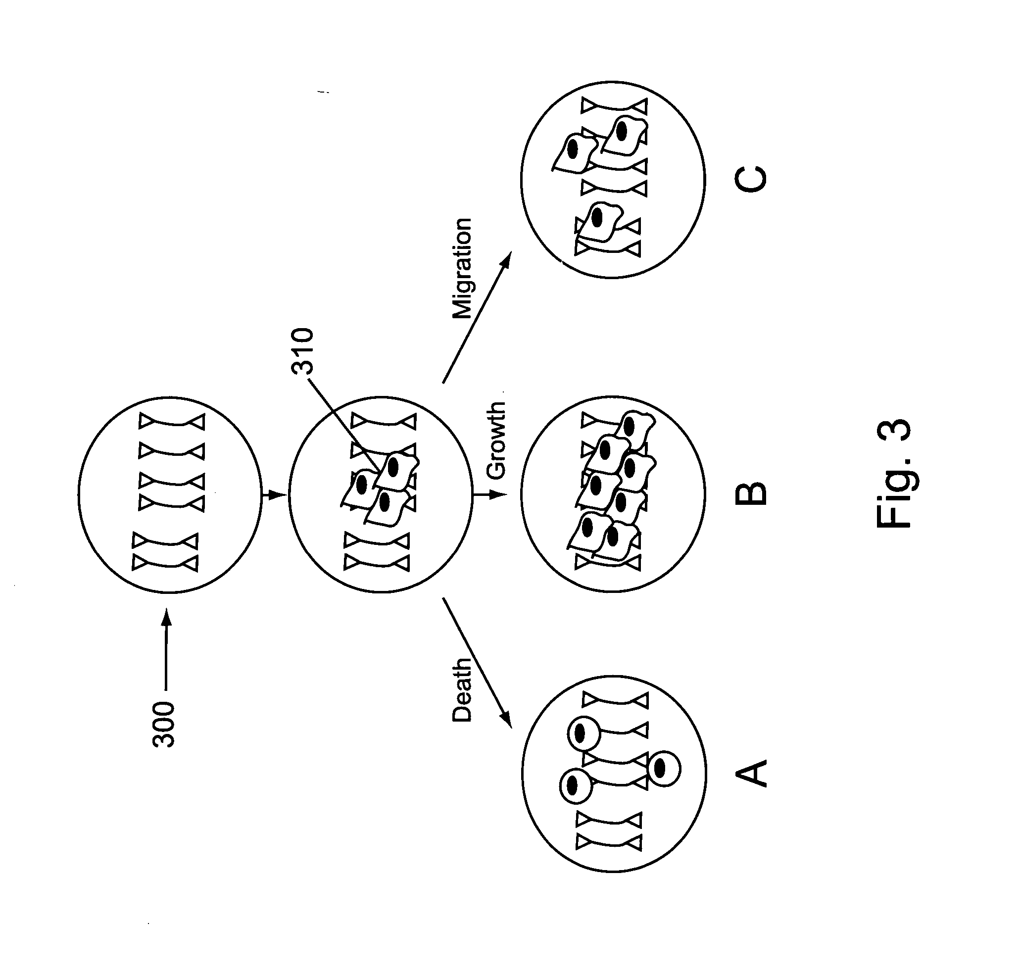 Nano-chem-fet based biosensors