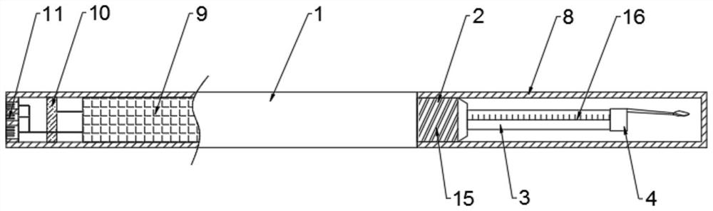 Intelligent visual earpick