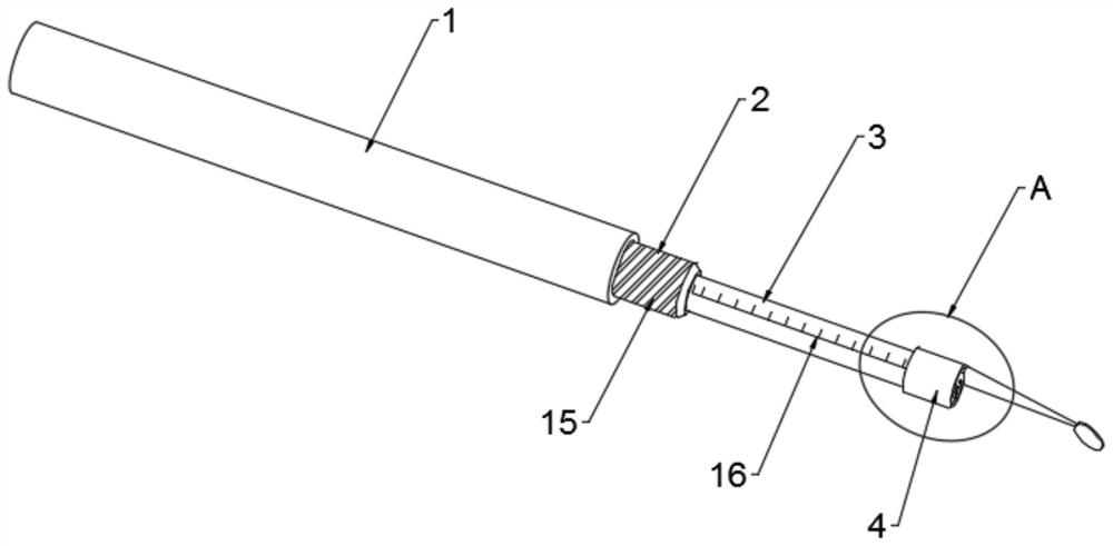 Intelligent visual earpick