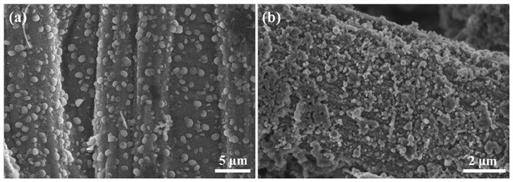 Fast-charging lithium air battery with self-catalytic activity