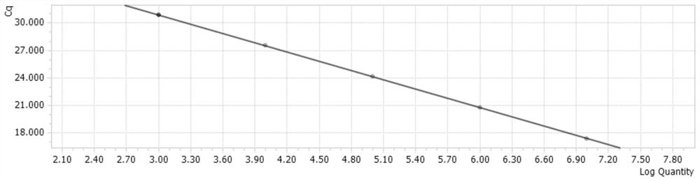 Primers and probe for dual real-time fluorescent quantitative PCR detection of duck circovirus type 1 and duck circovirus type 2