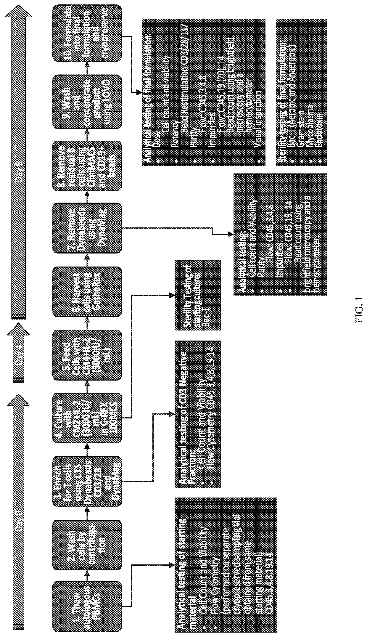 Expansion of Tumor Infiltrating Lymphocytes From Liquid Tumors and Therapeutic Uses Thereof