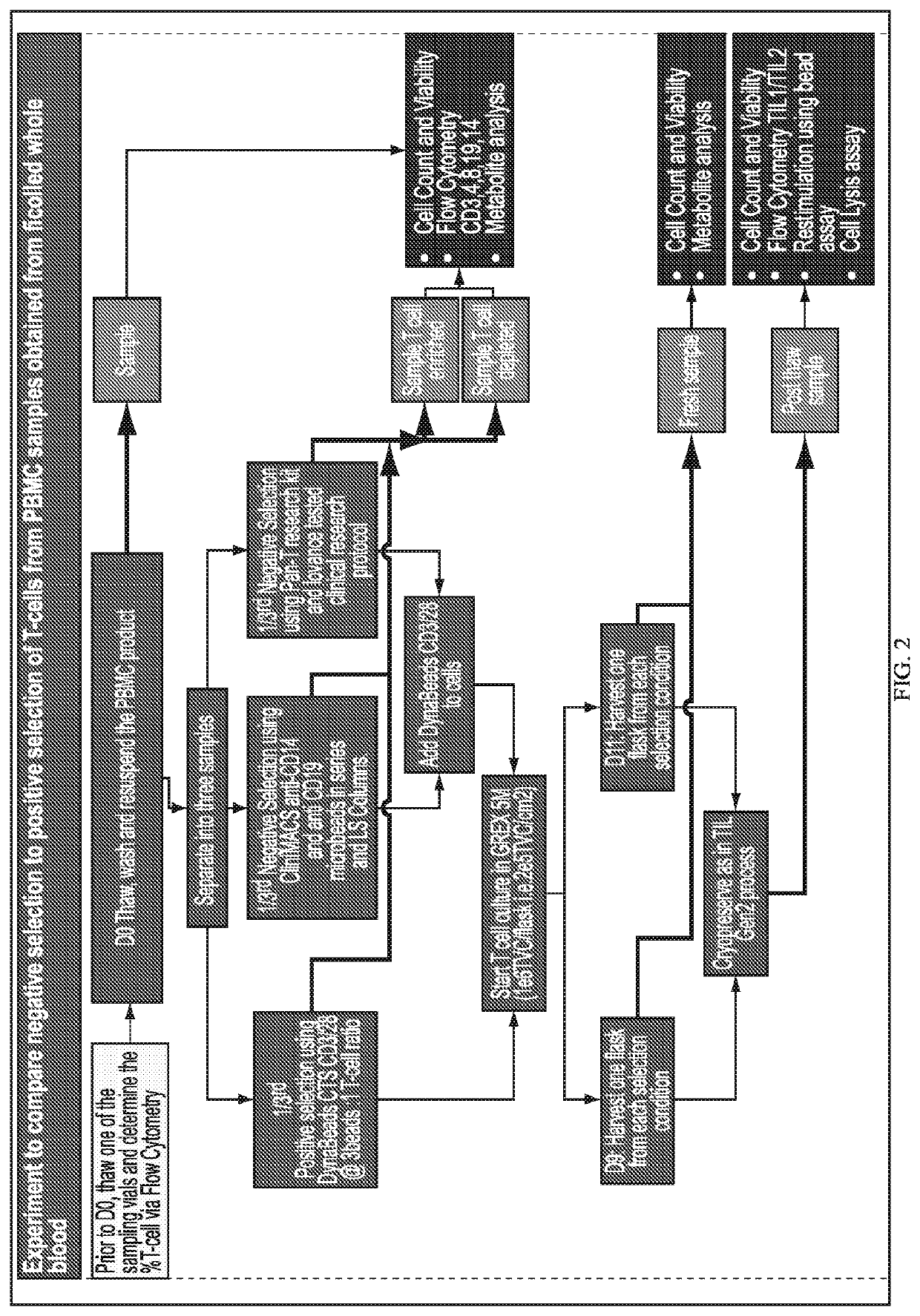 Expansion of Tumor Infiltrating Lymphocytes From Liquid Tumors and Therapeutic Uses Thereof