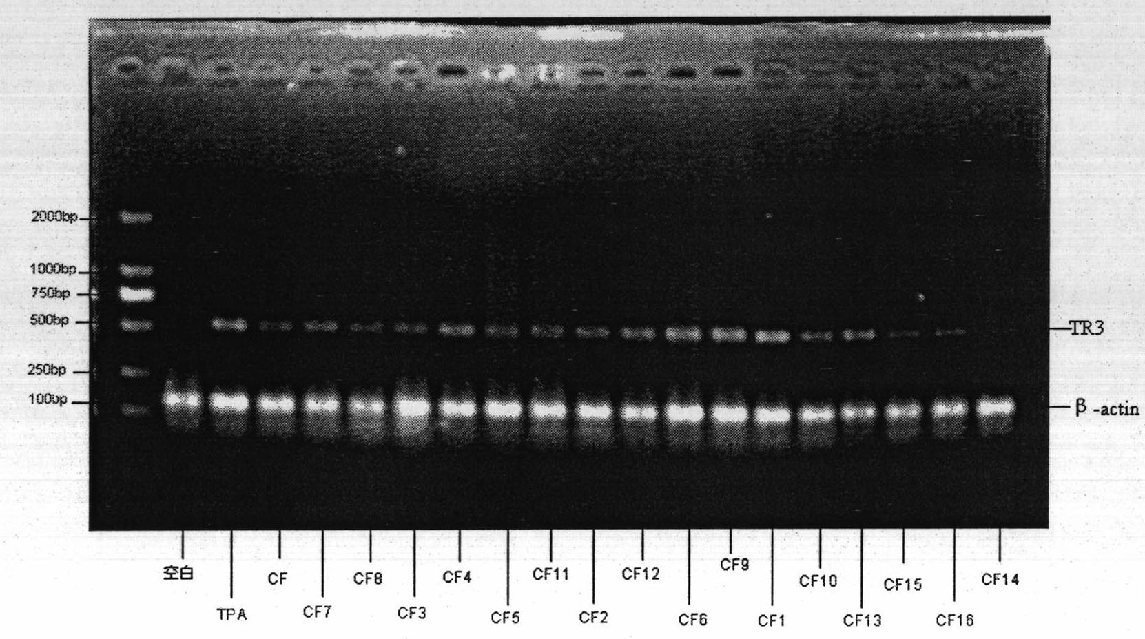 Composition and application thereof as TR3 receptor inducer