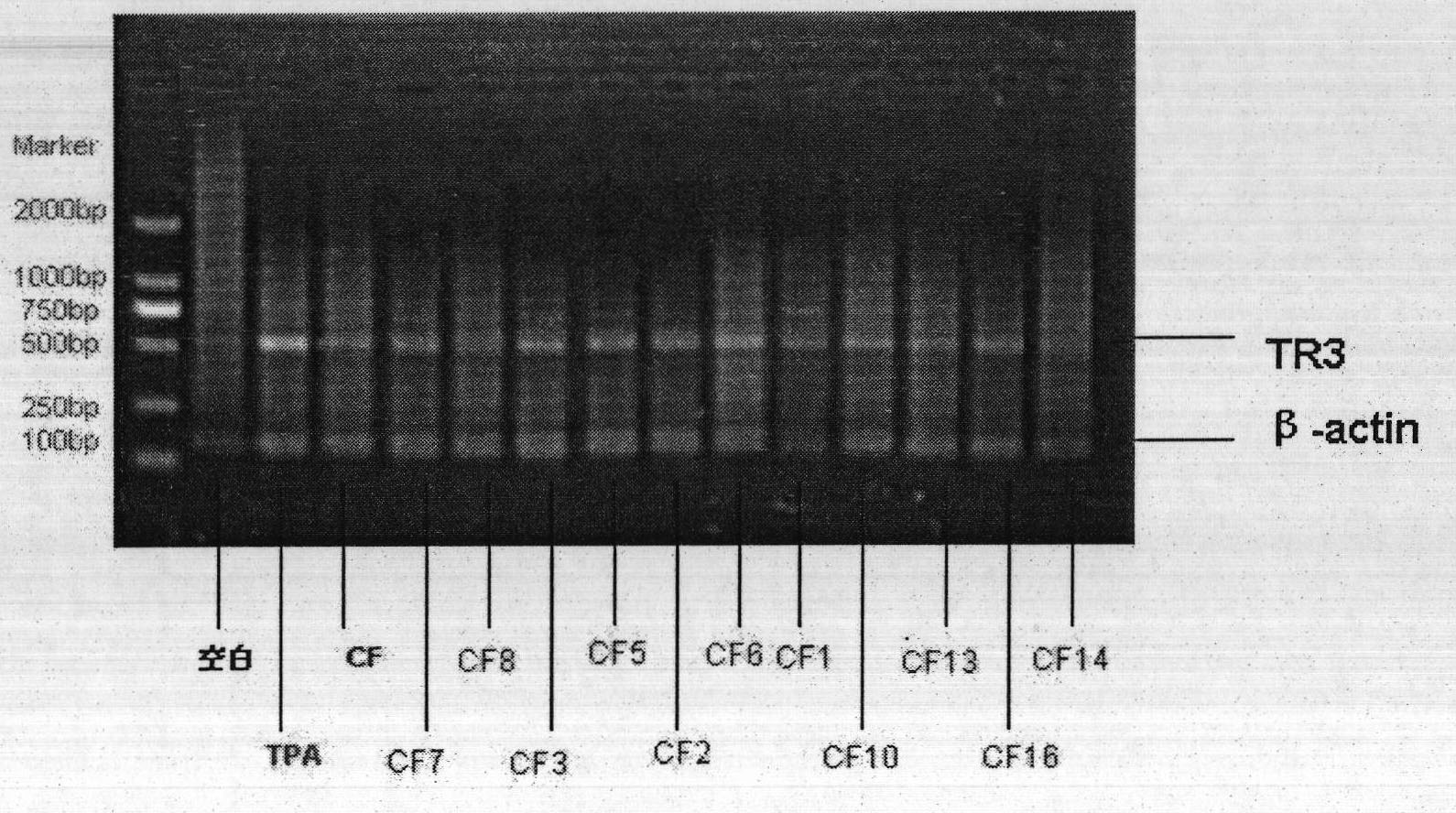 Composition and application thereof as TR3 receptor inducer