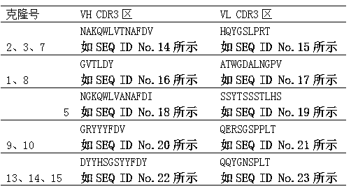 Fully humanized anti-tetanus bispecific antibody as well as construction method and application thereof