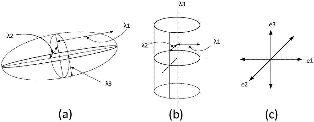 Pulmonary nodule detection method for multi-scale enhancement filter and 3D features