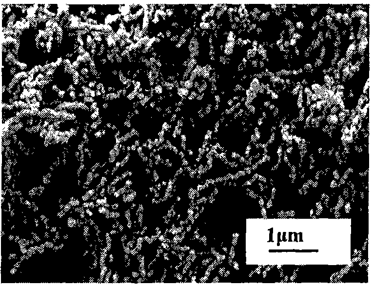 Chemical production of metal nickel nano-line