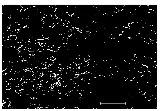 Titanium carbide-tungsten carbide composite hard alloy