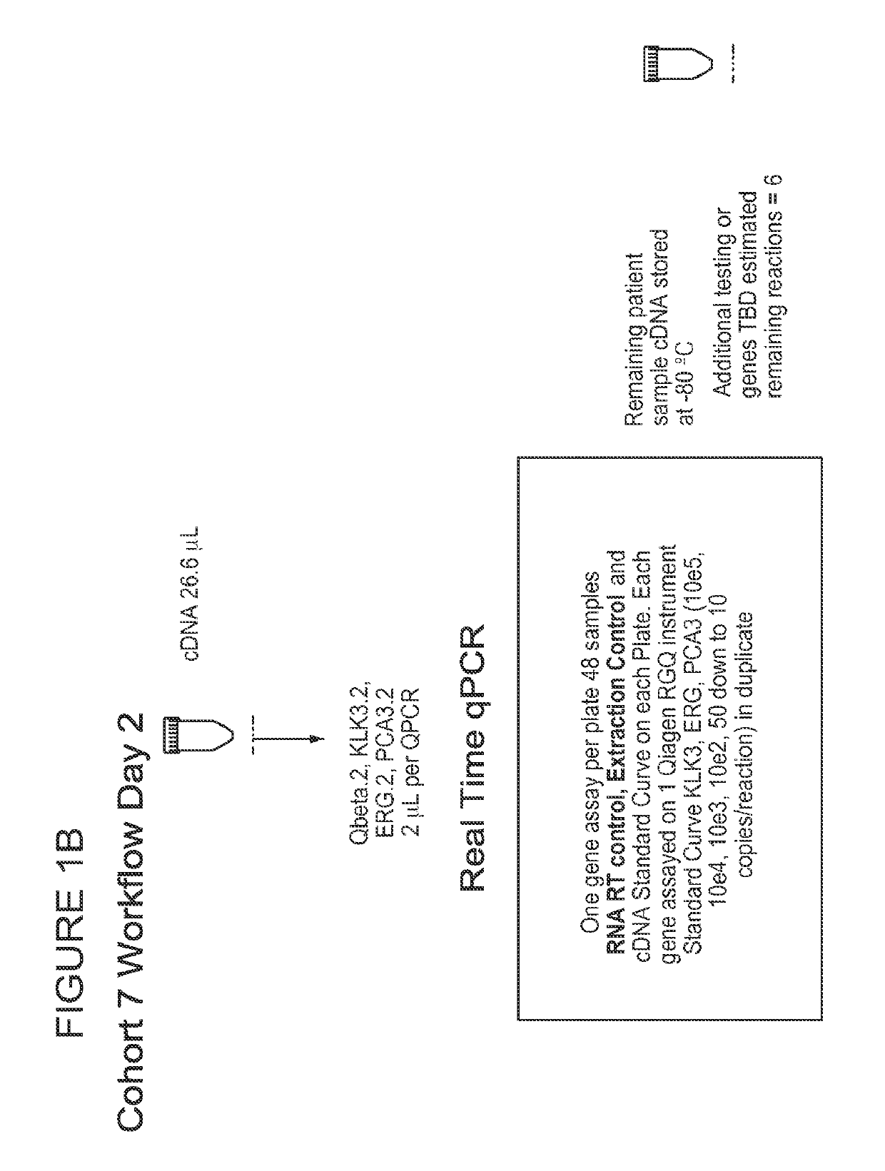 Methods of treating a subject with a high gleason score prostate cancer