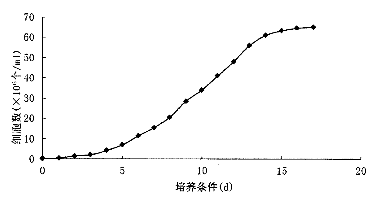 Culture method for efficiently inducing lipid accumulation in Botryococcus braunii