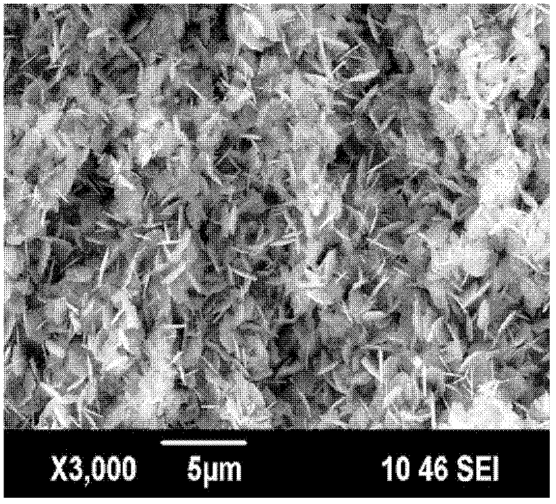 Electrochemical method for preparing super-hydrophobic surface on copper substrate