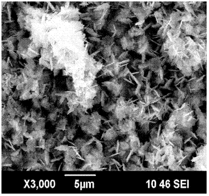 Electrochemical method for preparing super-hydrophobic surface on copper substrate