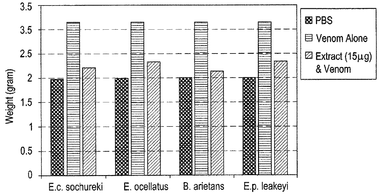 Method of making an Ajwa date-based treatment for snake envenomation