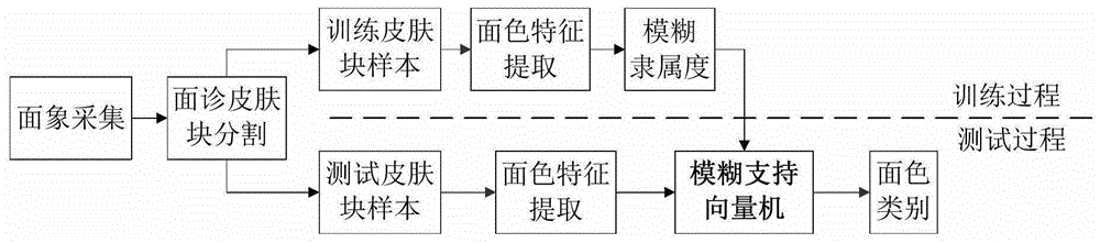 Chinese facial complexion recognition method based on color modeling