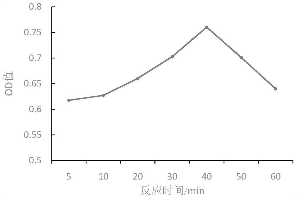 Lactobacillus space plantarum ss18-5 with reduced α-glucosidase activity and application thereof