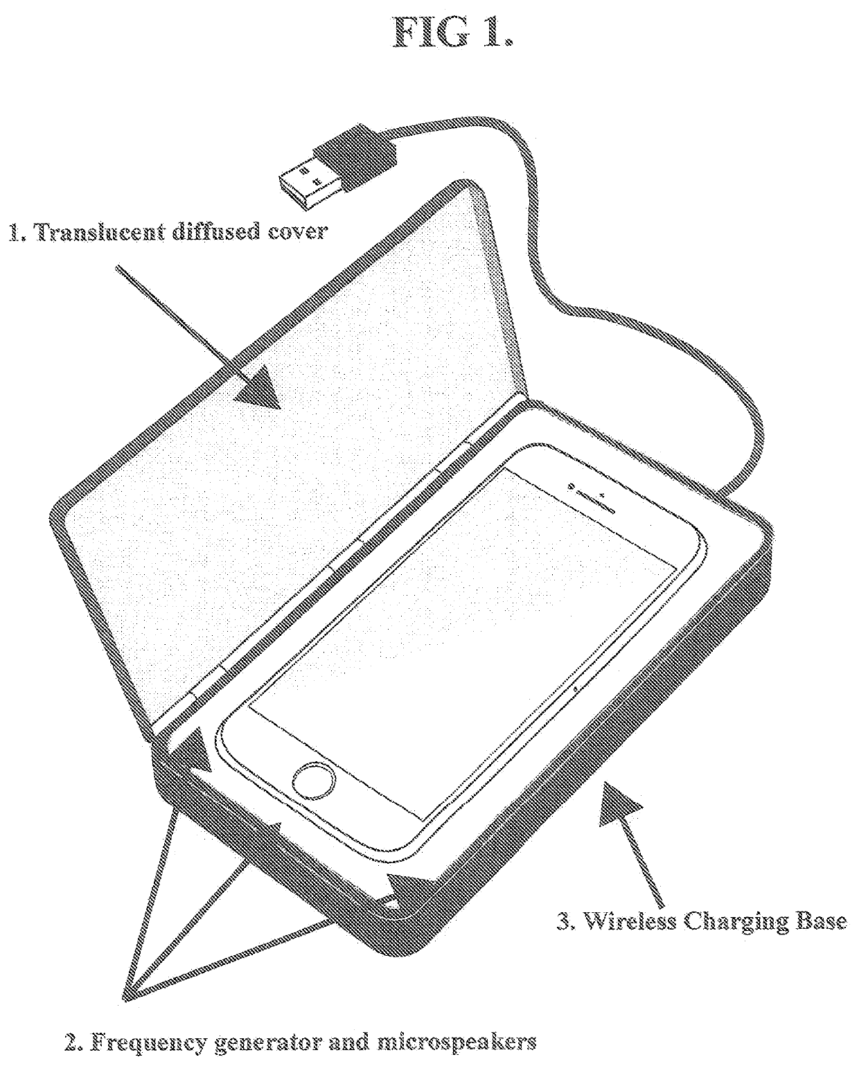 Privacy protection system for electronic devices