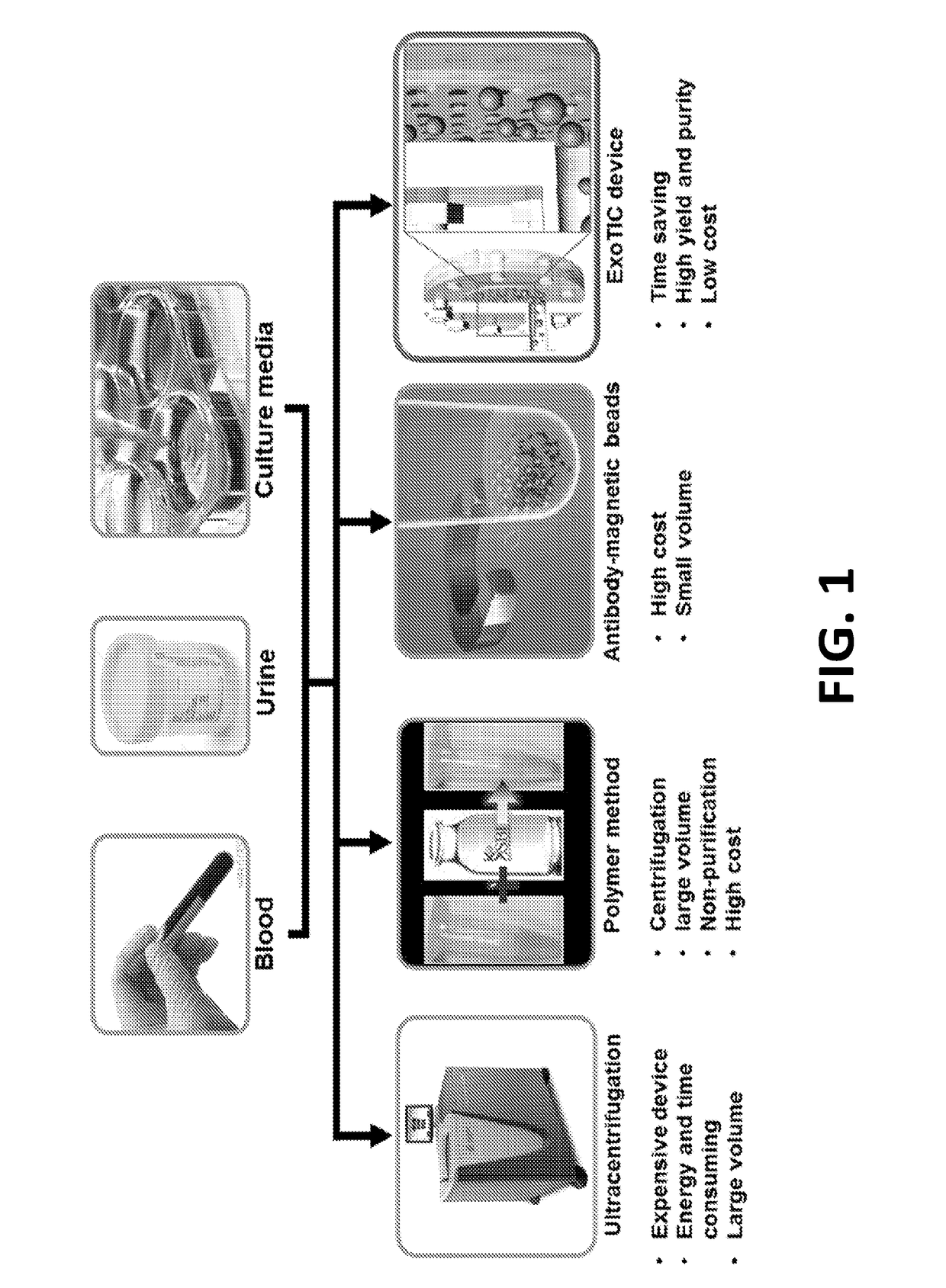 Exosome-Total-Isolation-Chip (ExoTIC) Device for Isolation of Exosome-Based Biomarkers