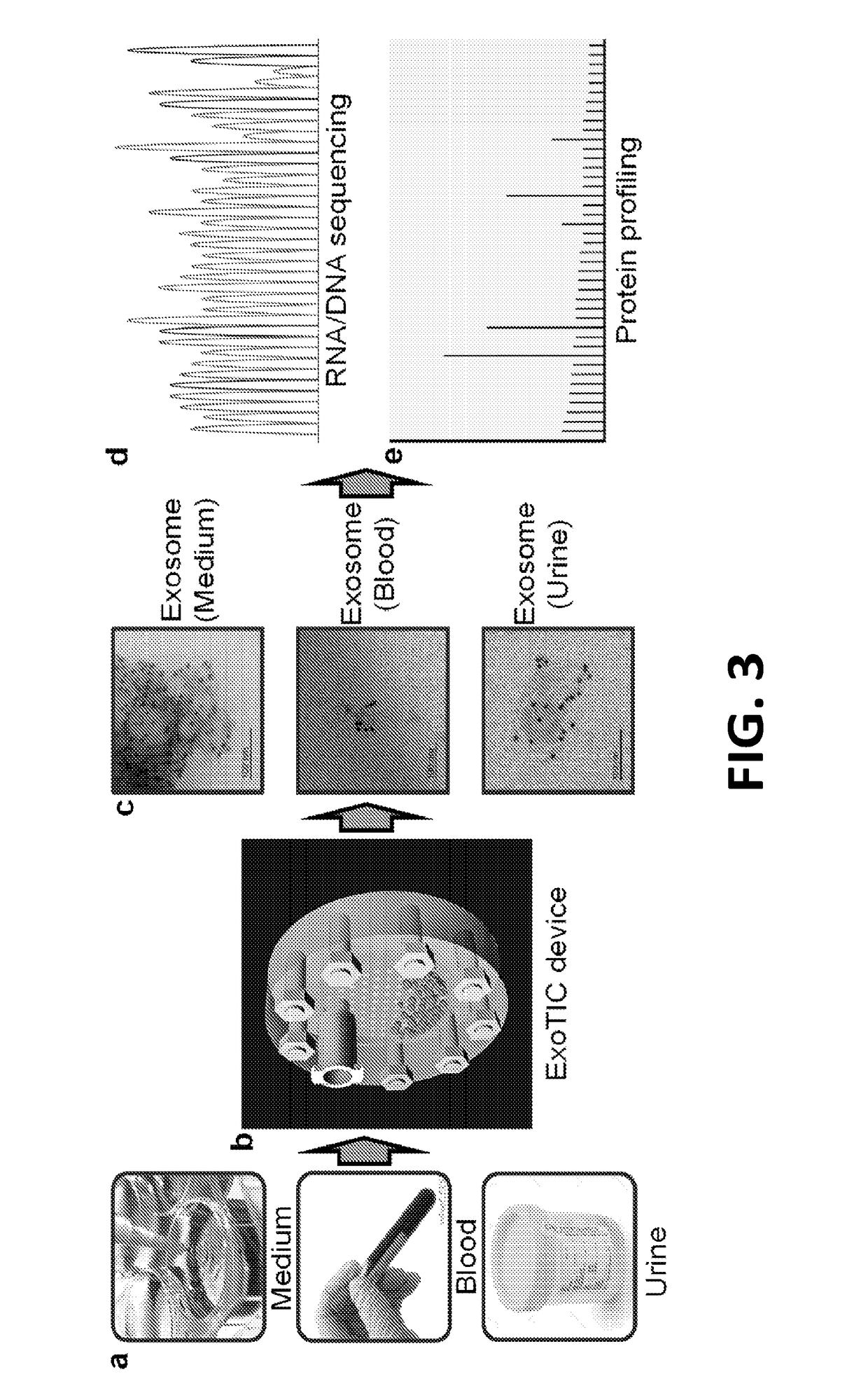 Exosome-Total-Isolation-Chip (ExoTIC) Device for Isolation of Exosome-Based Biomarkers