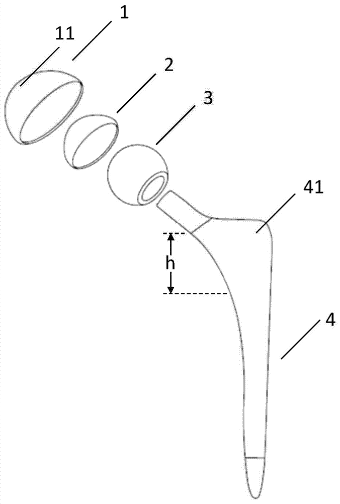 Artificial hip joint