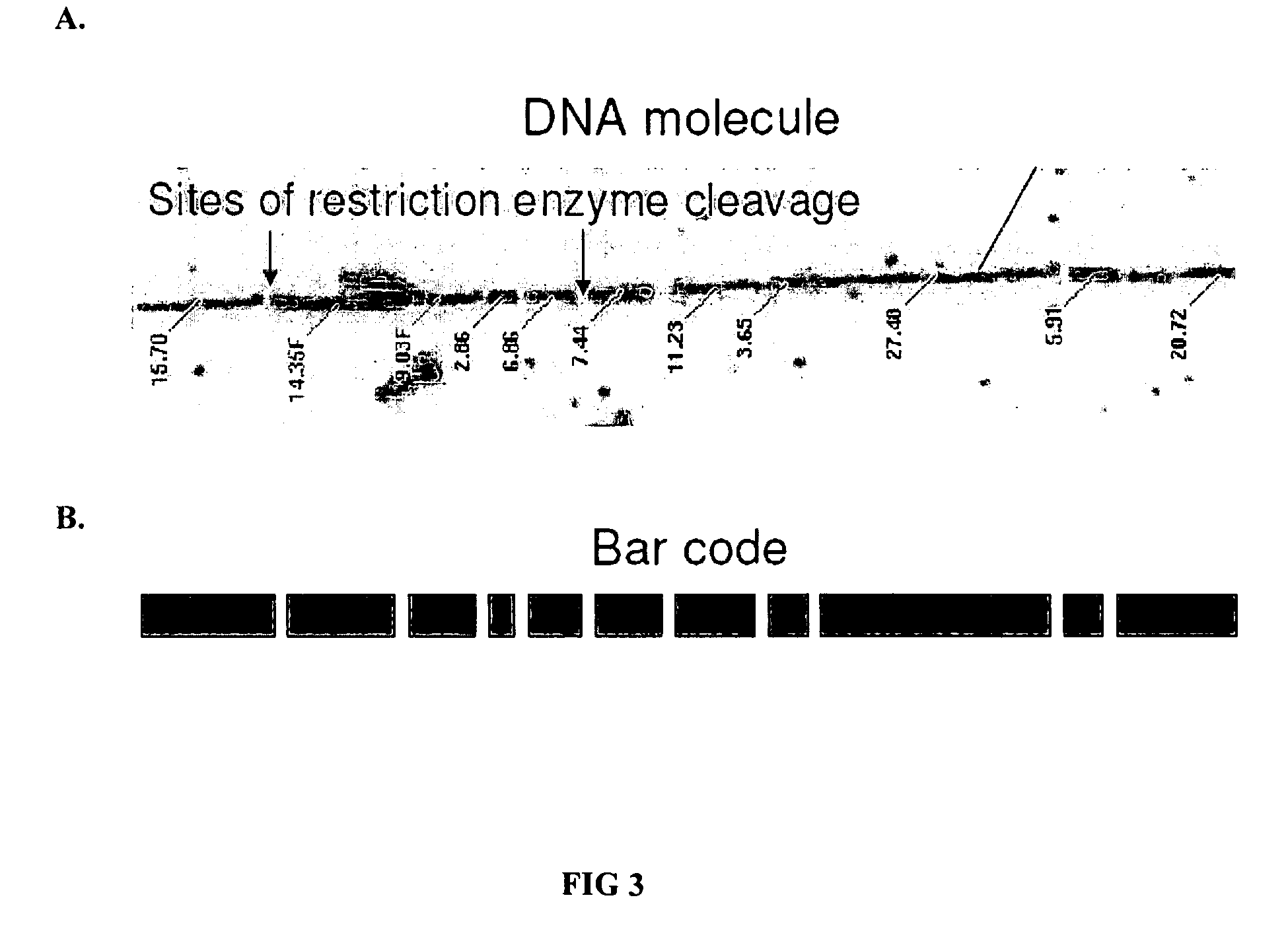 Whole genome methylation profiles via single molecule analysis